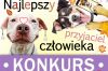 Czytaj więcej: Konkurs...