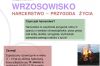 Czytaj więcej: Nabór...
