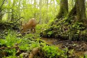 natura2.jpg