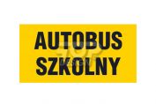 sa049.jpg