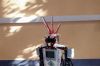 Czytaj więcej: Robotyka 